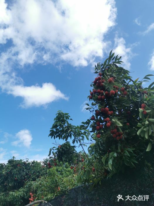 南平静修小镇图片