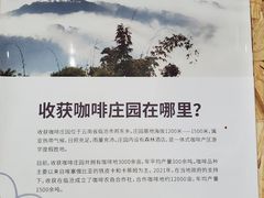 -收获咖啡HARVEST RESERVE(苍山店)