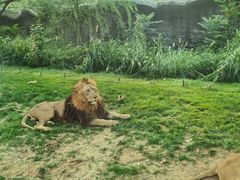 -北京野生动物园