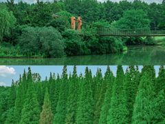 -宜兴龙背山森林公园