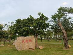 -芒洲湿地公园