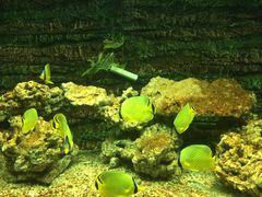 -北戴河圣蓝海洋公园