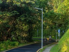 -黄埔油麻山森林公园