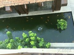 android_upload_pic-三亚亚龙湾五号度假别墅酒店