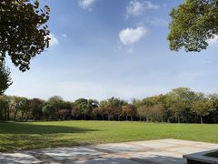 -东园小馆·早茶·淮扬小炒(宋夹城店)