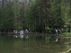 -重庆彩云湖湿地公园