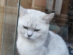 -川沙古镇-停车场