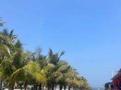 -东海岛旅游度假区