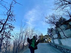 -北京鹫峰国家森林公园