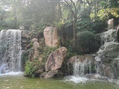 -广州市帽峰山景区