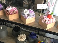 -植物学家的女儿(北马道巷店)