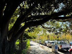 -墨尔本皇家植物园
