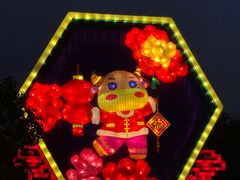 -武汉园博园(武汉自然博物馆)