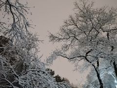 -莫愁湖公园