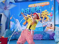 -海合安成都极地海洋公园