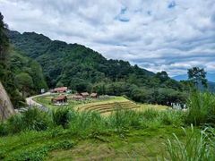 -龙岩森林水乡景区