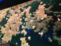 -珠海长隆海洋王国