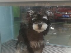 -FAELING PETS美天灵宠物(合生汇店)