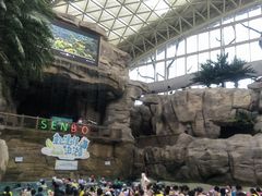 -杭州开元森泊度假乐园