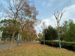 -同济大学(嘉定校区)