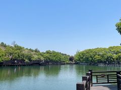 -白马涧龙池景区