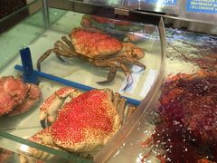 -东江海鲜酒家(艺都分店)