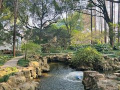 -上海醉白池公园