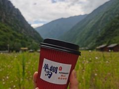 -金鼎雪山牦牛杂火锅(理县总店)