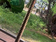 -北戴河集发农业梦想王国