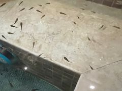 -中家鑫园温泉酒店鑫悦汤泉