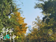 -八大关景区