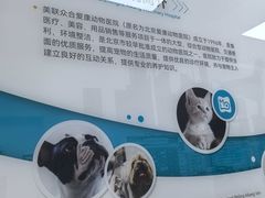 -美联众合爱康动物医院•复杂内科•肿瘤科•牙科•腔镜诊疗中心