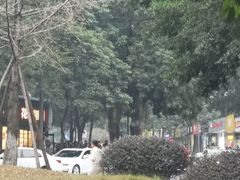 -汝萍传统蘸水菜(春华路总店)