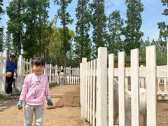 -前小桔亲子创意农场·草莓采摘·露营烧烤