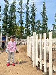 -前小桔亲子创意农场·草莓采摘·露营烧烤