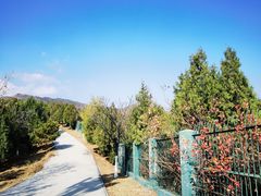 -北宫国家森林公园