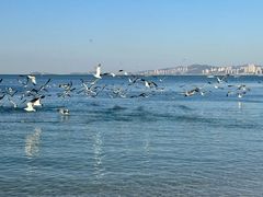 -银沙滩浴场