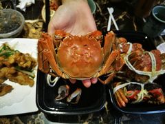 -黄记大闸蟹专卖店·活蟹·醉蟹