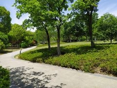 -映月湖中央公园