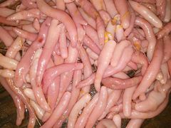 -三乐海鲜水饺馆