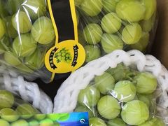 玫瑰柑-南京众彩农副产品配送有限公司