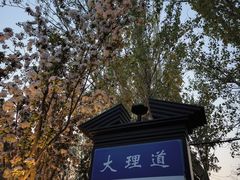 -天津五大道文化旅游区