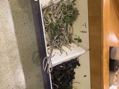 -蝎王府羊蝎子(北大地店)