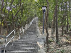-野狸岛