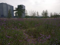 -杭州城北体育公园