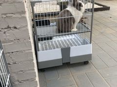 小兔砸-小意思咖啡店(草桥店)