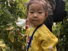 -万源龙顺度假庄园生态观光园