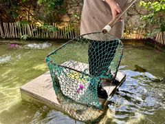 -大理老字号·舟渔的鱼野生菌海景餐厅(双廊店)