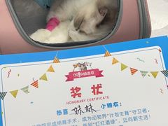 -纳吉亚猫专科动物诊疗中心(蒋宅口分院)