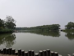 -大兴滨河森林公园